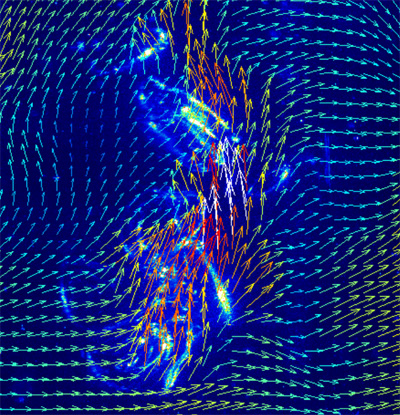 vector field